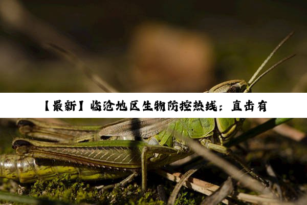 【最新】临沧地区生物防控热线：直击有害生物治理前沿，守护生态安全新举措