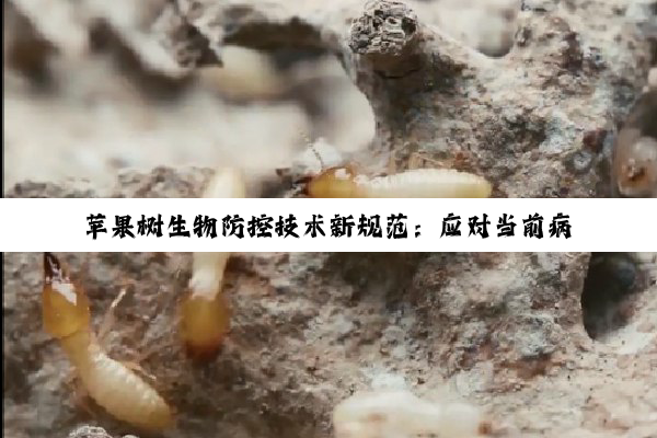 苹果树生物防控技术新规范：应对当前病虫害与传染病挑战的综合策略