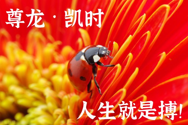 Z6尊龙·凯时中国官方网站
